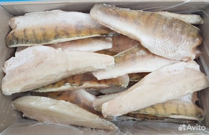 Филе Судака на шкуре 400+ ту свежемороженое 10кг