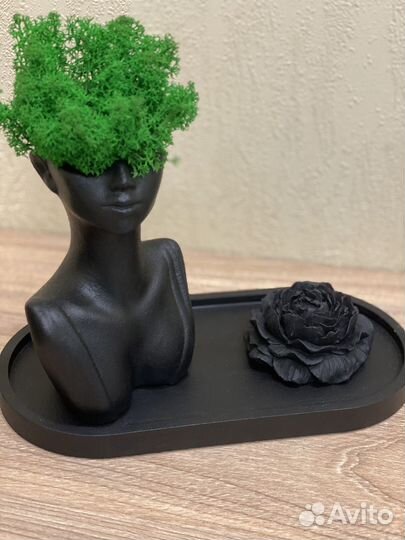 Набор из гипса ваза кашпо стабилизированный мох