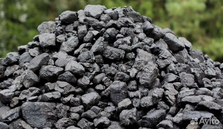 Уголь дом/дпк разных размеров