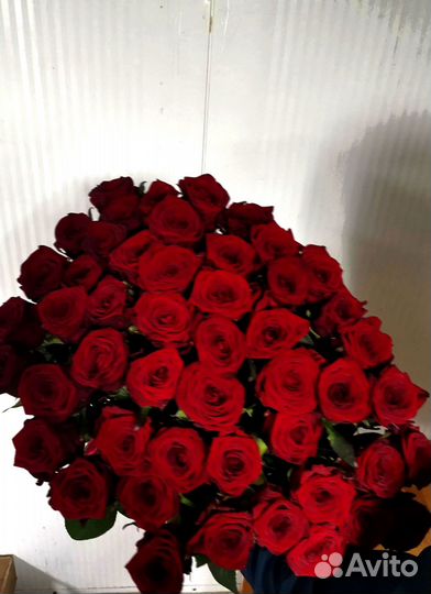 Розы с доставкой, букет роз 101