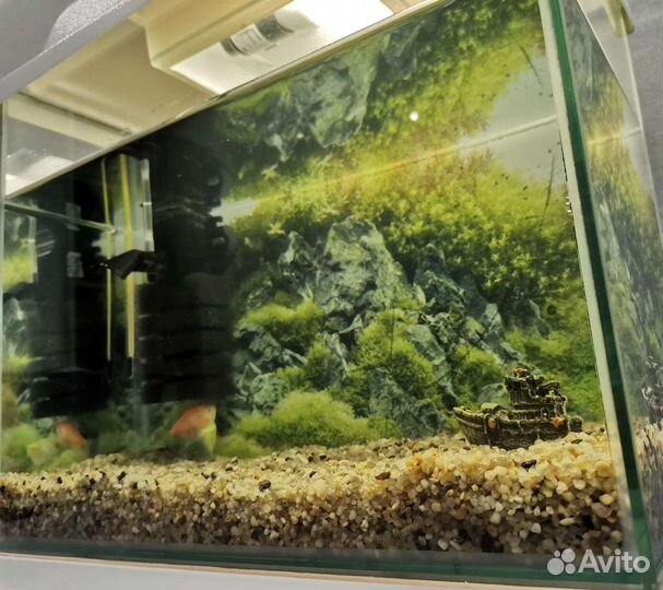 Аквариум