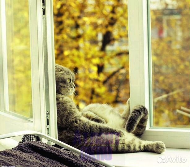 Пластиковые окна