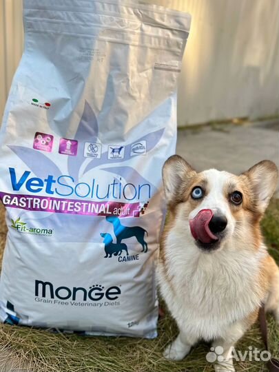 Сухой корм monge гастро