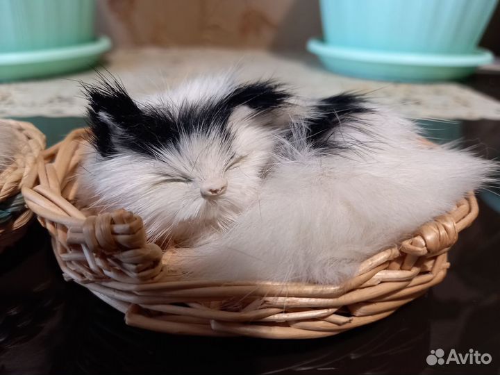 Сувинирные котята