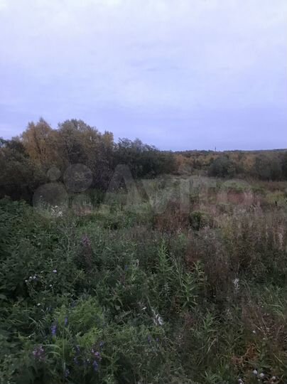 Участок 20 сот. (СНТ, ДНП)