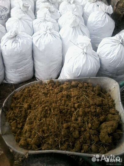 Коровий навоз