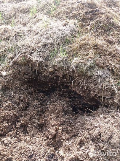 Продается навоз