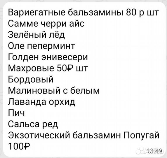 Бальзамины