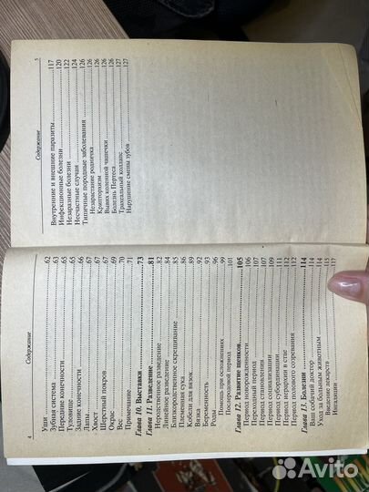 Йоркширский терьер. Бойтлер-Демель С