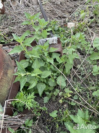 Бочка под воду бу