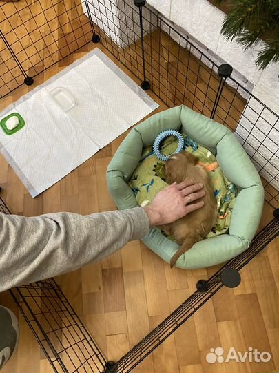 Клетка разборная