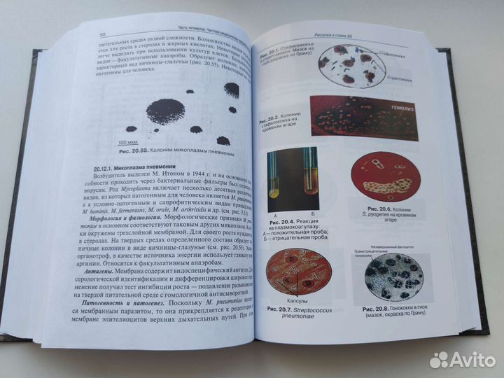 Микробиология