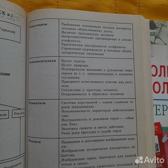 Книги по литературе для школьников и репетиторов