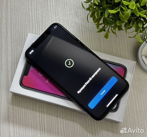 iPhone X, 256 ГБ