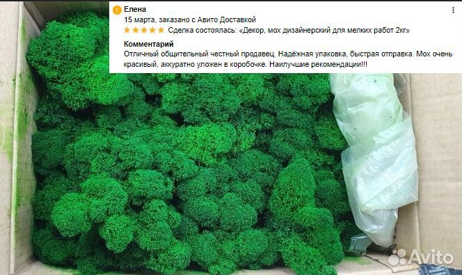 Стабилизированный мох для декора помещений интерье