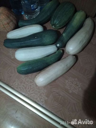 Кабачки, тыква, калина