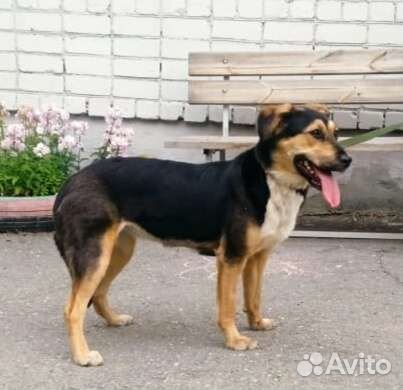 Джуля