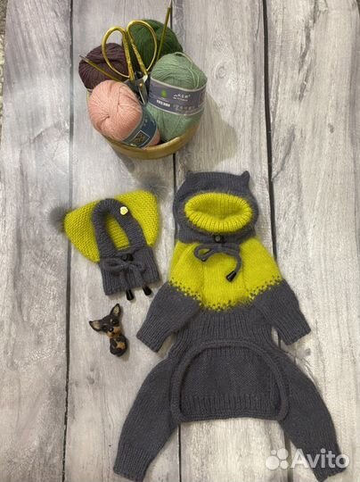 Одежда для собак