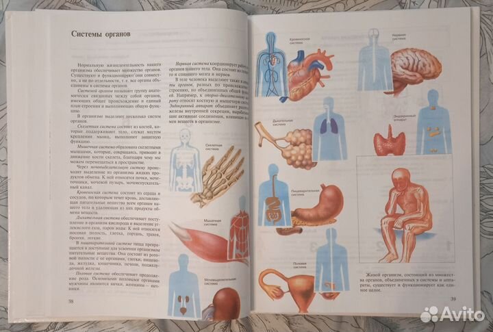 Учебник Биология Человек 8 класс Сонин Н. Сапин М