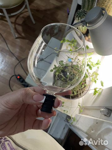 Бокал вставляющийся в бутылку вина