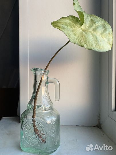 Графин стекло 15см