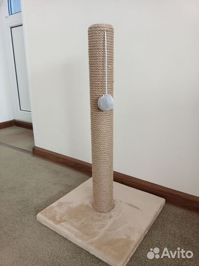 Когтеточка