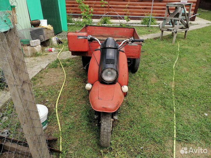 Продам муравей