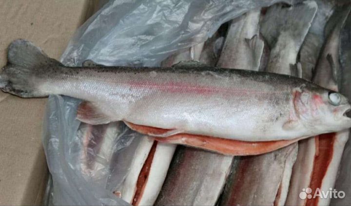 Доставка продуктов питания