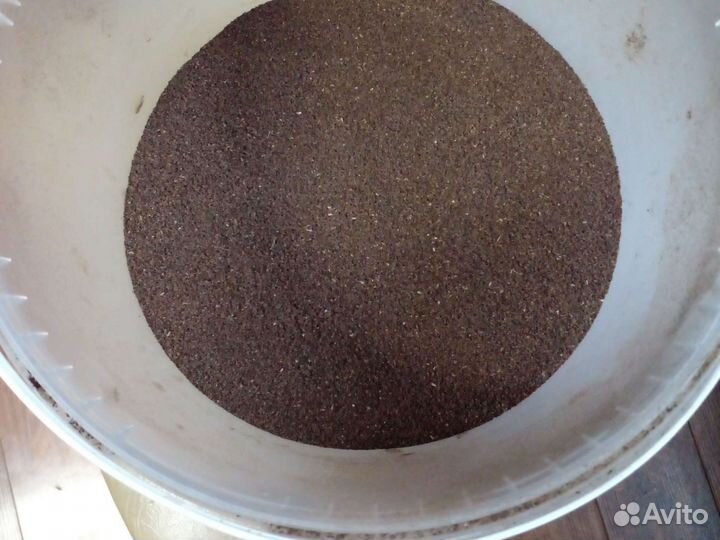 Рассада табака