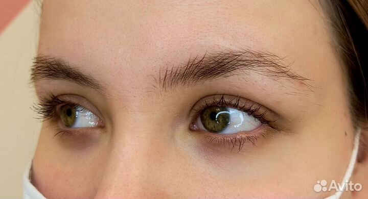 Мастер бровист