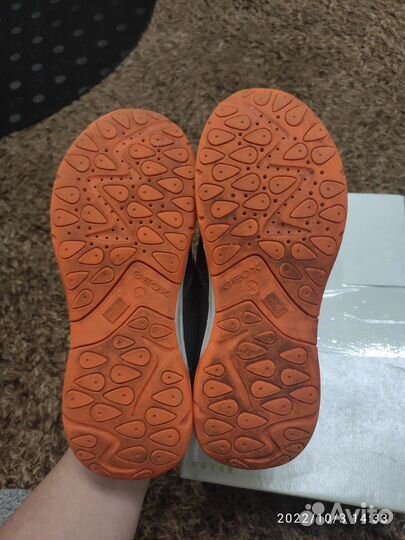 Кроссовки Geox, 34 размер