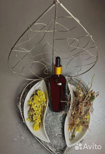 Вытяжка для профилактики заболеваний поджелудочной