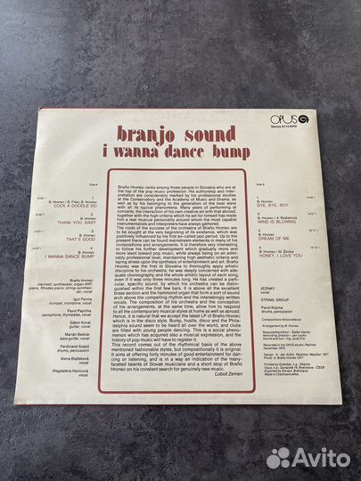 Виниловая пластинка Branjo Sound