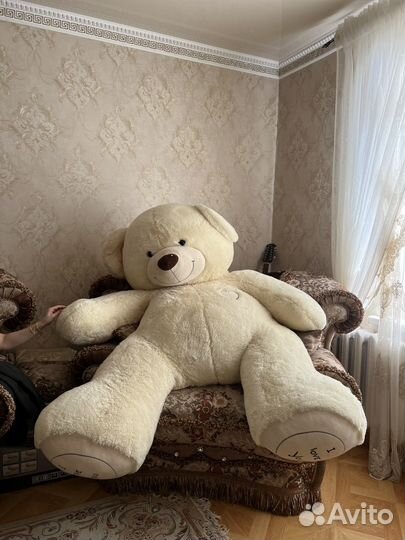 Плюшевый медведь