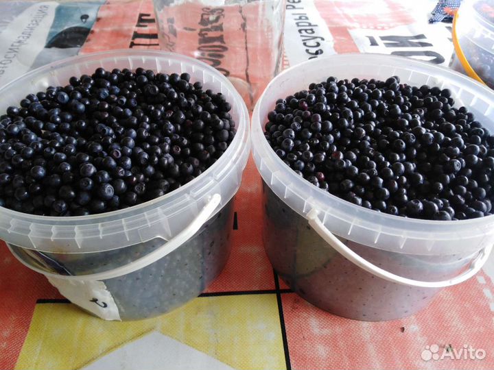 Черника цена за 3литра принимаю заказы на 16.07
