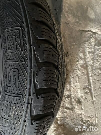 Gislaved NordFrost 100 205/60 R16