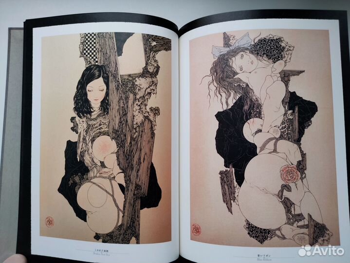 Артбук Takato Yamamoto: Rib of a Hermaрhrodite