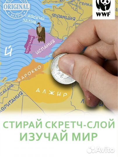 Скретч карта мира