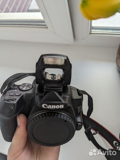 Canon eos 250d, sigma 18-50 2.8 ex macro