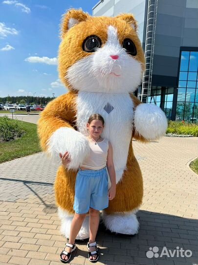 Кот аниматор/ медведь на праздник