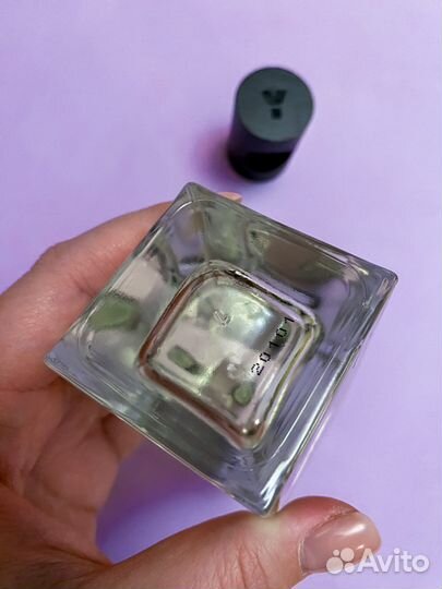 Genyum Painter распив оригинал