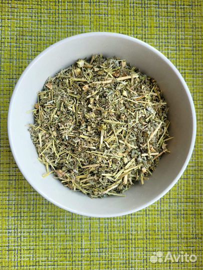 Трибулус террестрис (Tribulus terrestris)