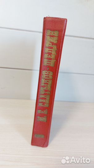 М.Е.Салтыков-Щедрин история одного города