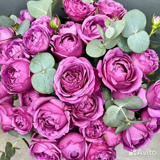 Пионовидные розы для