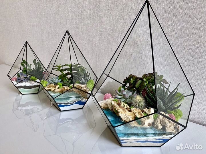 Флорариум с водоемом Капля L