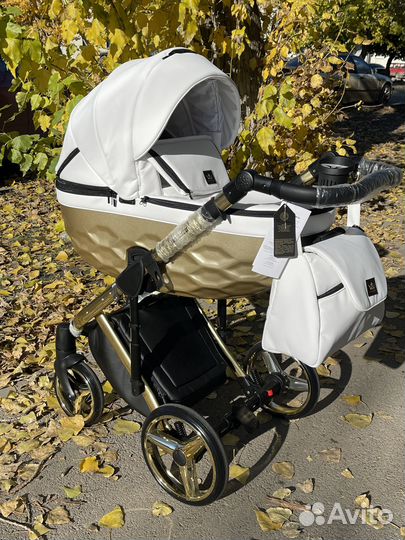 Коляска модульная от Adamex 2в1 и 3в1