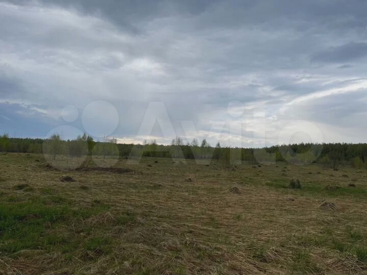 Участок 13,2 сот. (СНТ, ДНП)