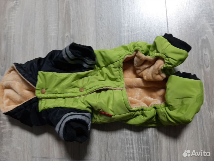 Одежда для животных