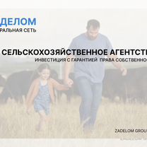 Сельскохозяйственное агентство в городе Ставрополь, Ставрополь