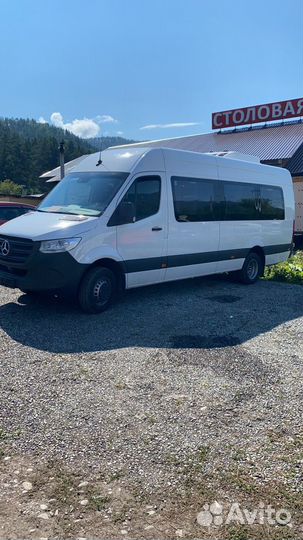 Пассажирские перевозки от 4 до 50 чел